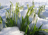 Народные праздники в апреле