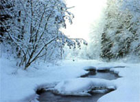 Народные праздники в декабре