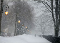 Народные праздники в феврале