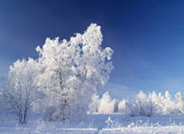 Народные праздники в январе