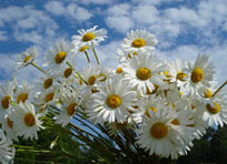 Народные праздники в июне