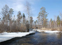 Народные праздники в марте