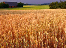 Народные праздники в сентябре