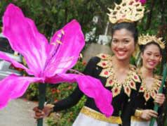 4 февраля - Фестиваль цветов в Таиланде