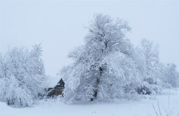 7 февраля — Григорьев день, Григорий-весноуказатель