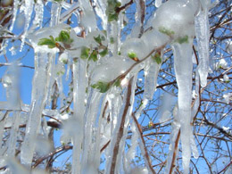 20 марта — Павел Капельник