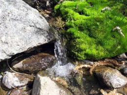 22 апреля - Вадим Ключник