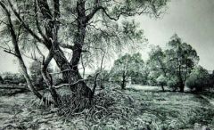 12 мая - Девять целителей