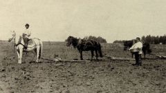 14 мая - Еремей Запашник