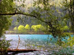 30 мая - Евдокия Свистунья