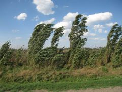 16 августа - Антон Вихровей