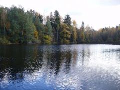 23 августа - Лаврентьев день