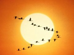 13 октября - Михаил Соломенный