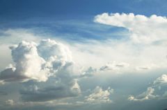 19 октября - Фомин день