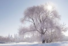 29 октября - Лонгин Сотник