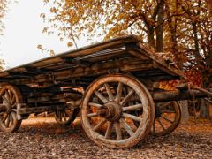 30 октября - Осия Колесник