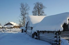 29 ноября - Матвеев день