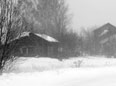 17 ноября - Ерема – сиди дома