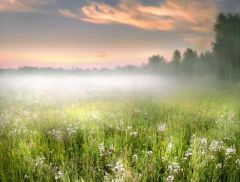 25 июня - Петр Солнцеворот